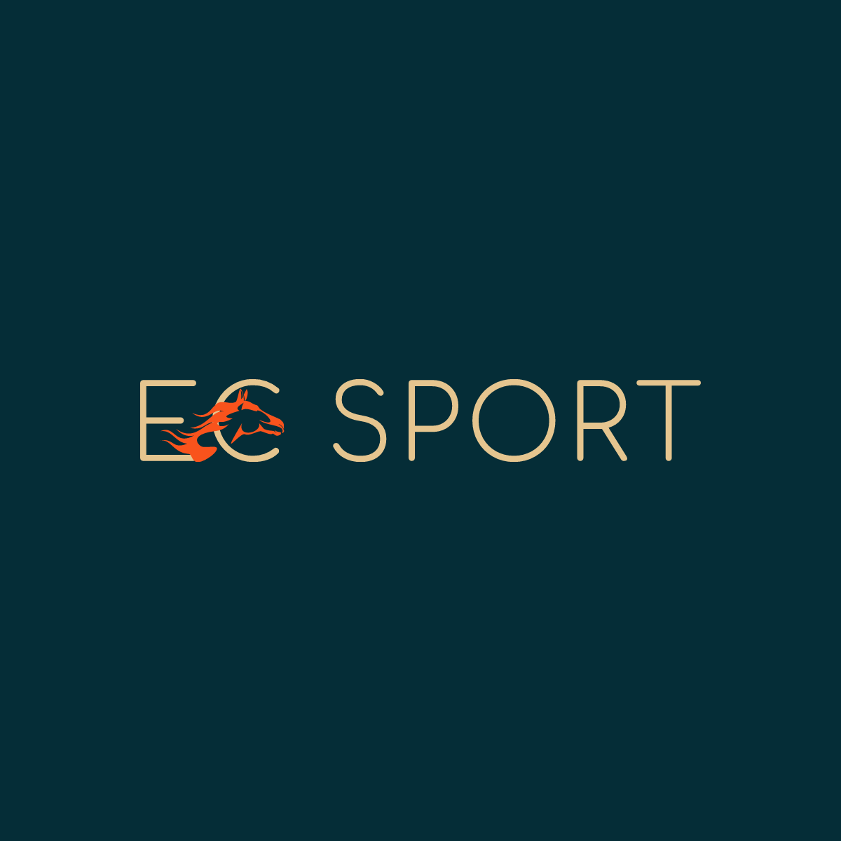 ECSPORT.png