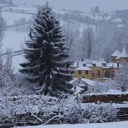 saint-pierre-le-vieux-neige.jpg