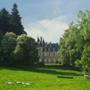 verosvres-chateau-du-terreau.jpg